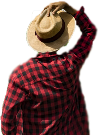 fixed img