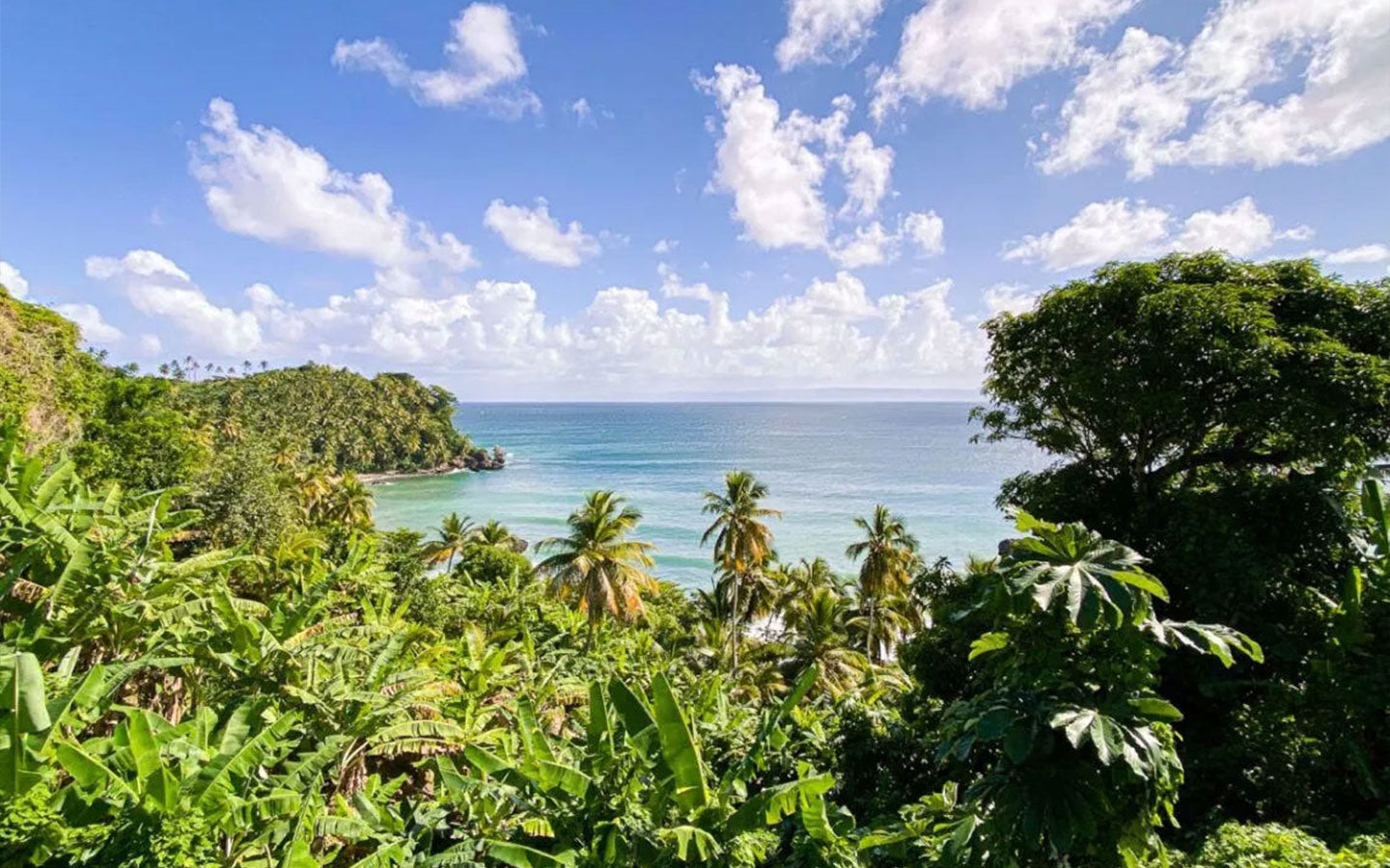 dominicana