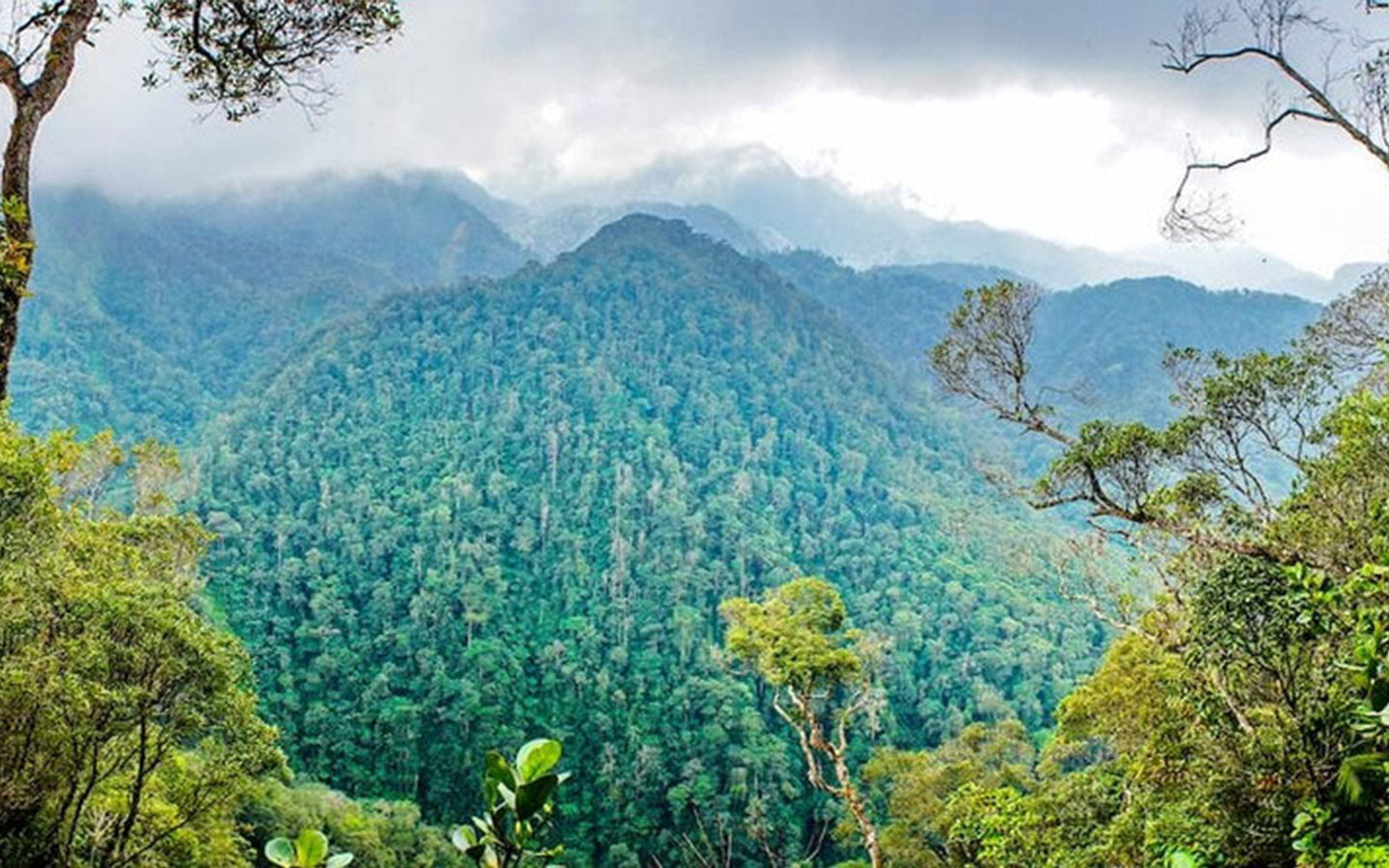 Honduras