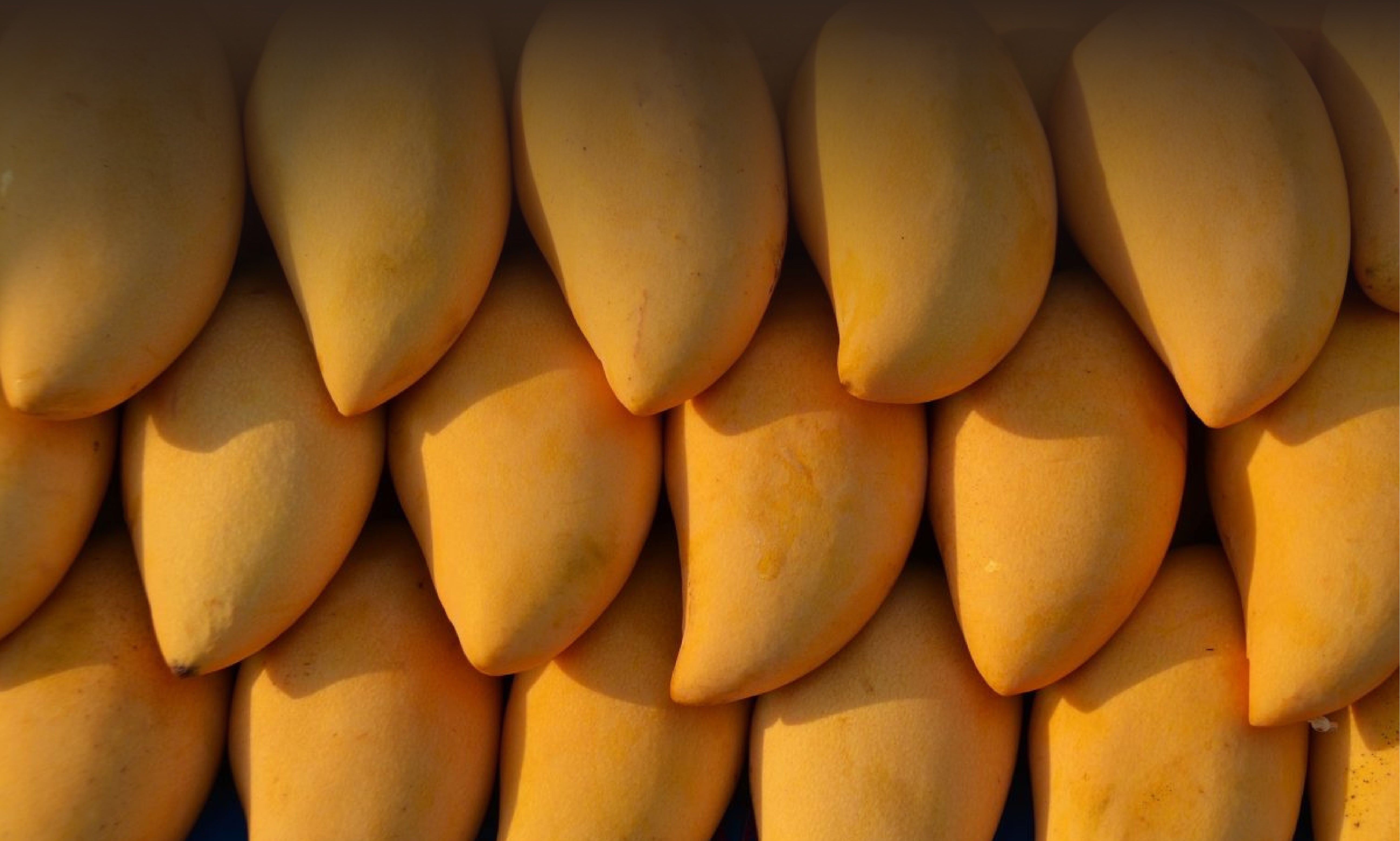 Tropical Fruits