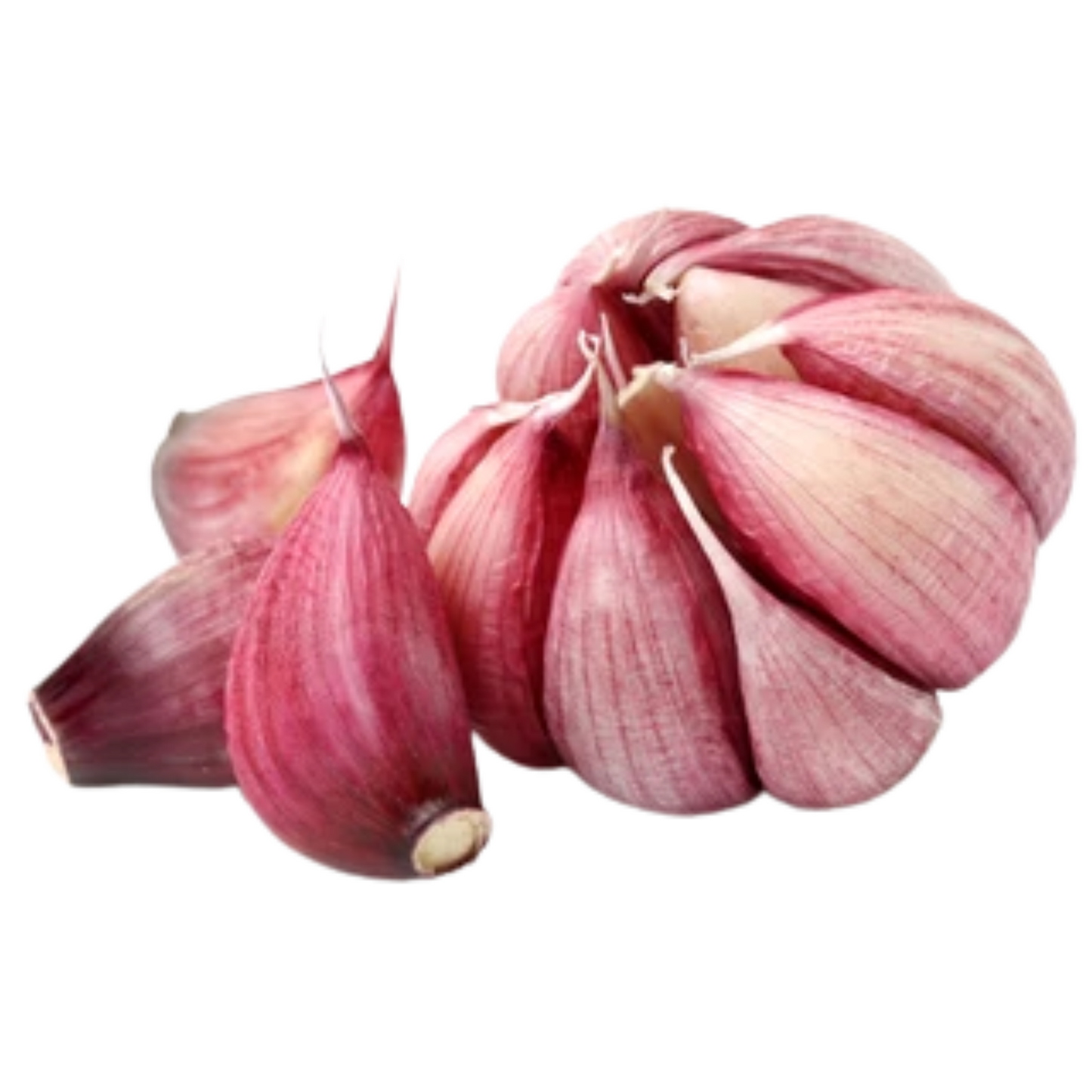 PURPLE GARLIC