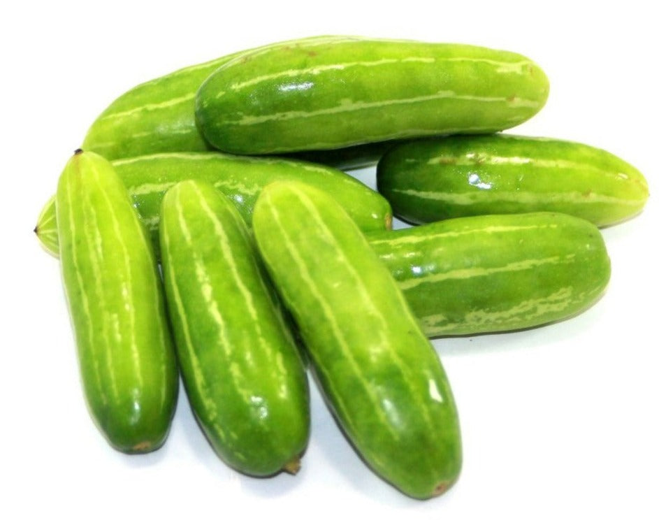 TINDORA