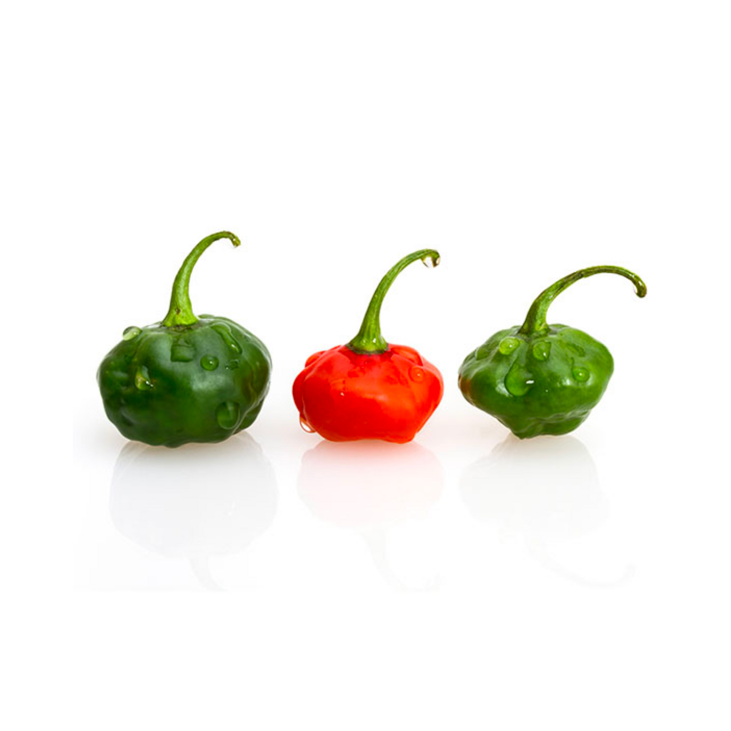 AJICITO CACHUCHA PEPPER