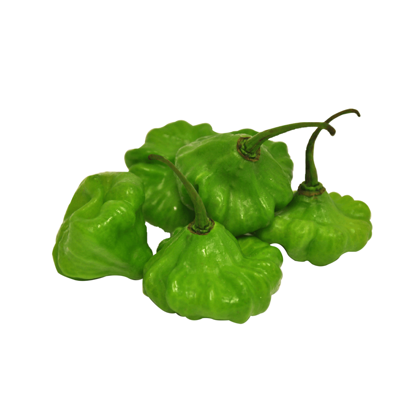 AJICITO CACHUCHA PEPPER