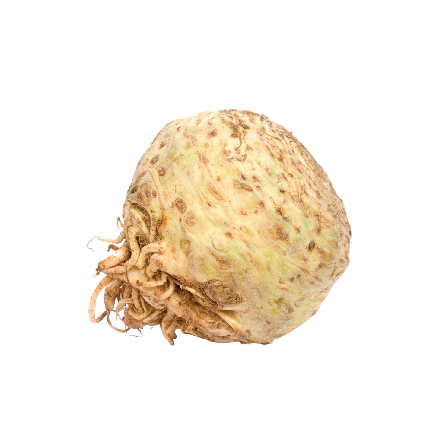 APIO ROOT