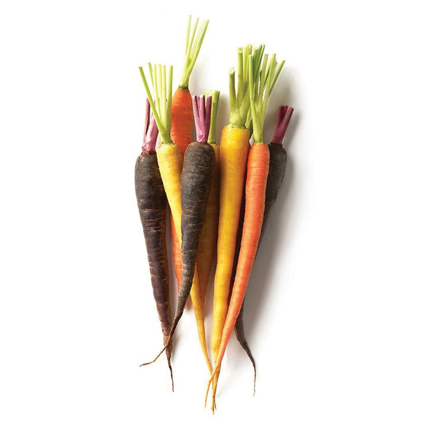 BABY CARROTS MIXED