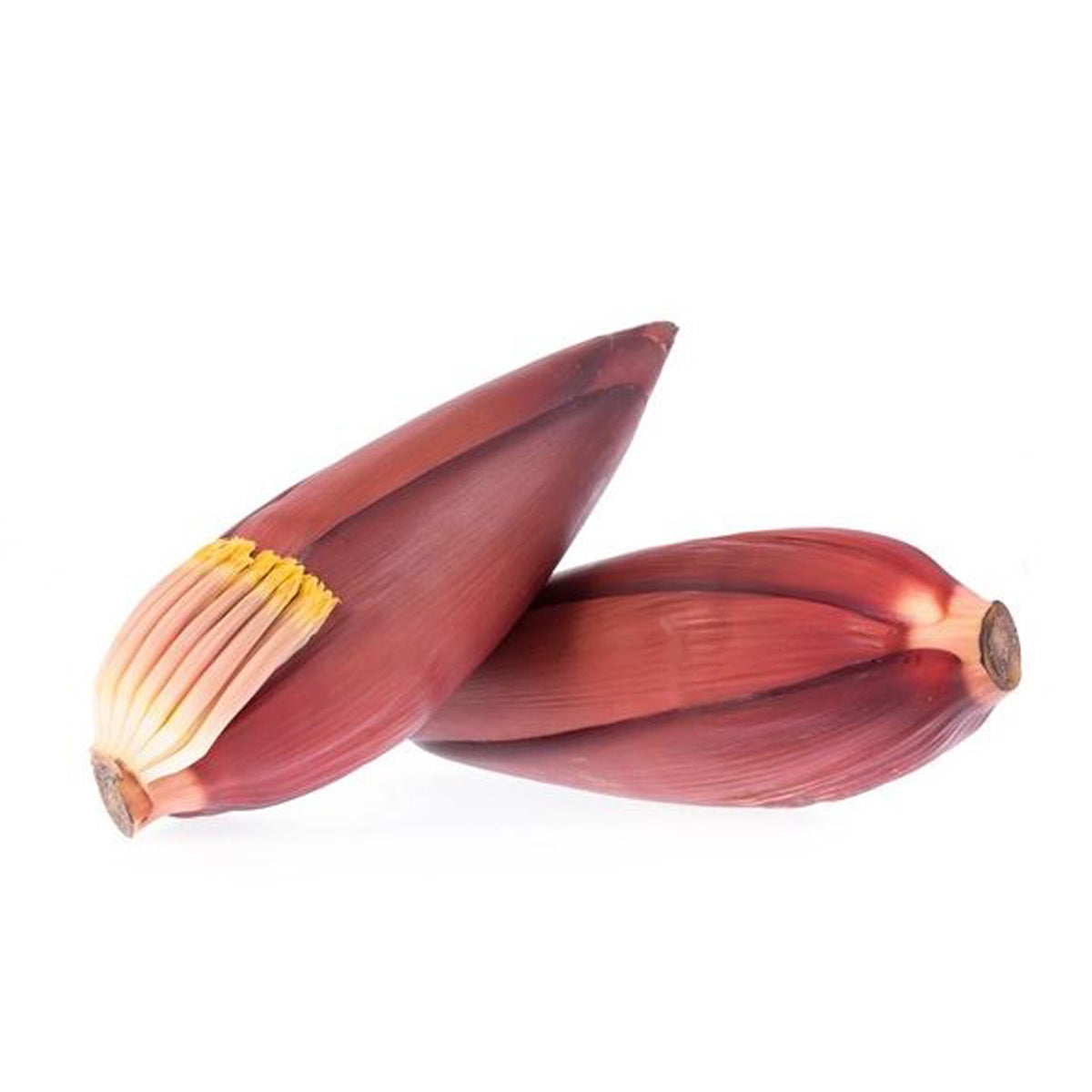 BANANA FLOWER