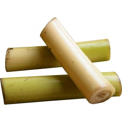 BANANA STEM