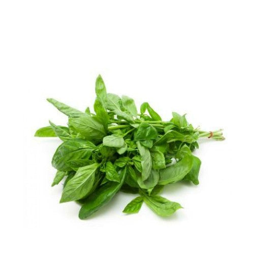 BASIL