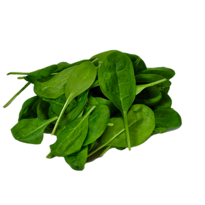 BAY LEAVES