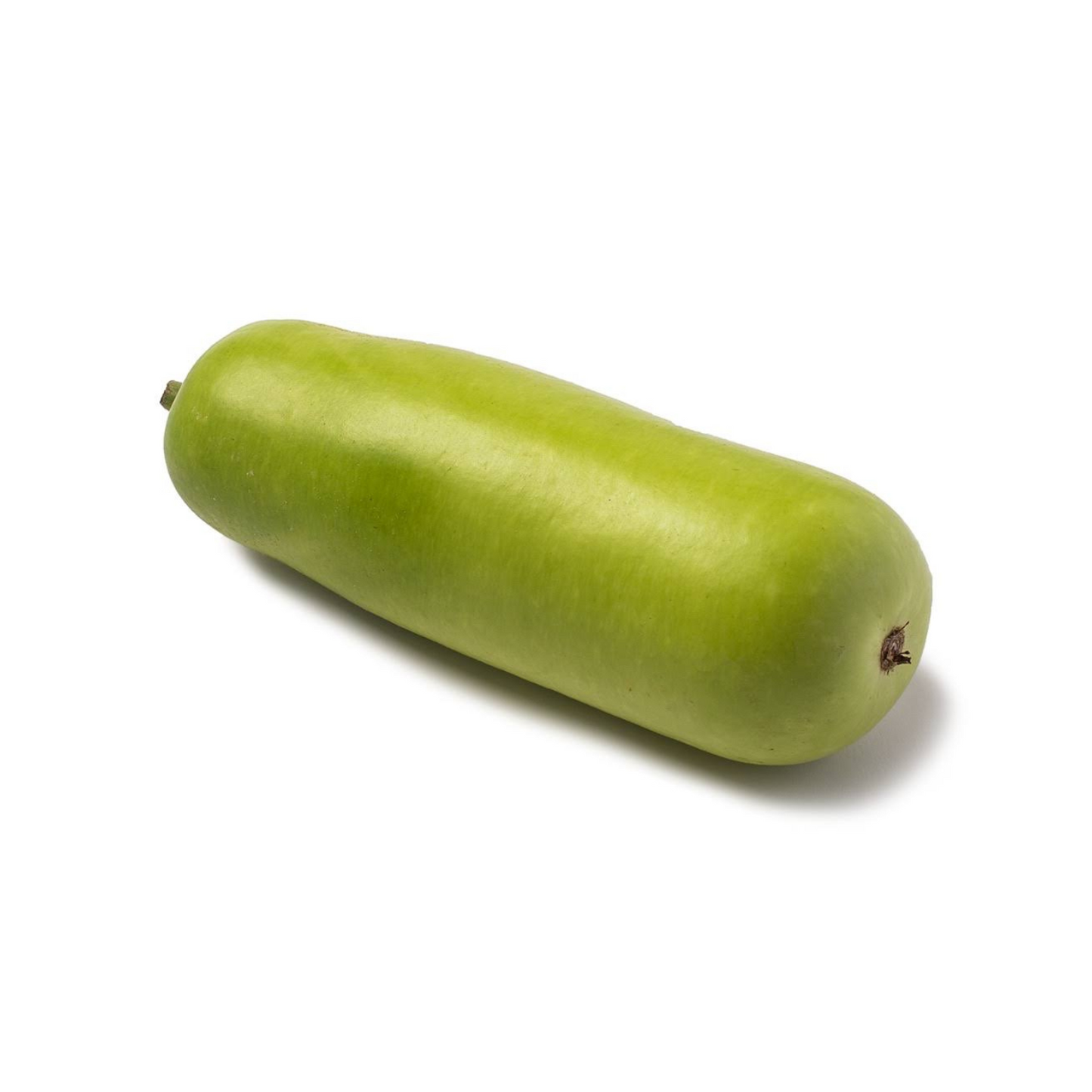 CHINESE LONG SQUASH