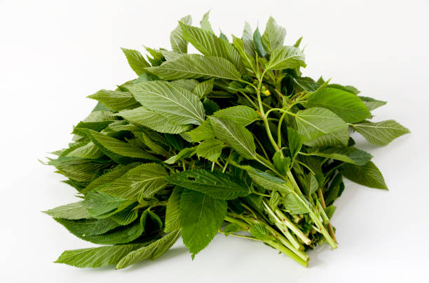 CALALOO - TANDELO
