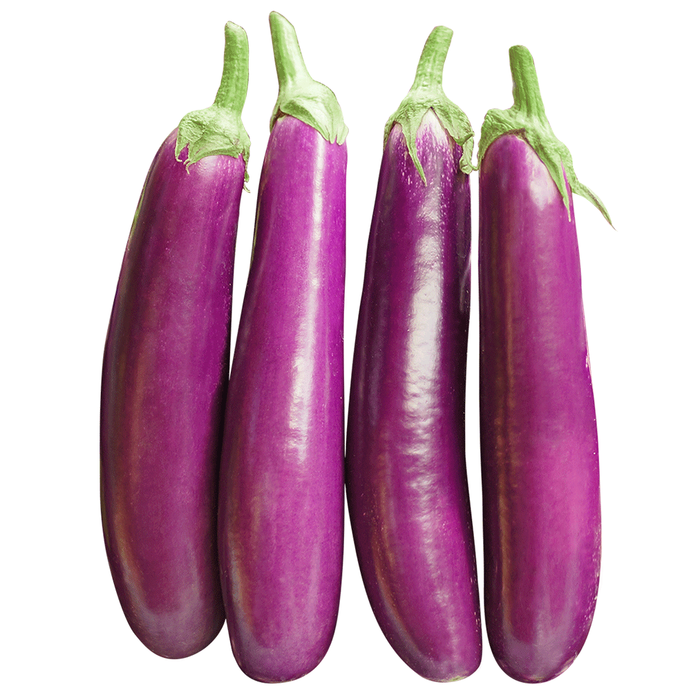 CHINESE EGGPLANT
