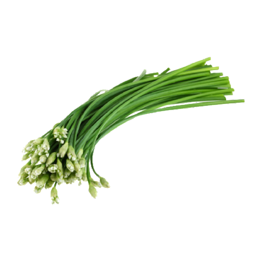 CHIVE FLOWER
