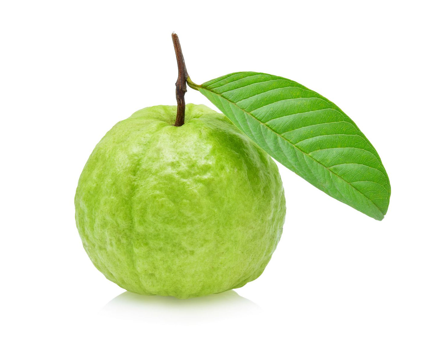 GUAVA THAI
