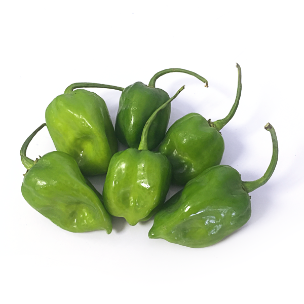 PEPPER HABANERO GREEN