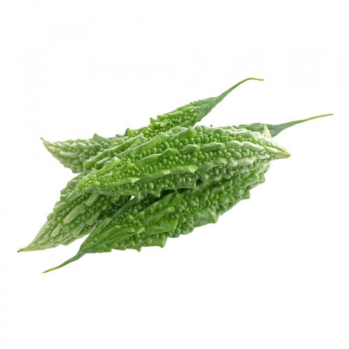 INDIAN BITTER MELON