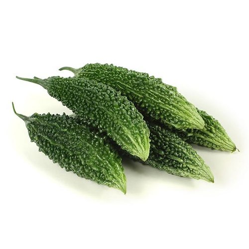 INDIAN BITTER MELON