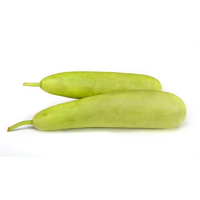 INDIAN LONG SQUASH