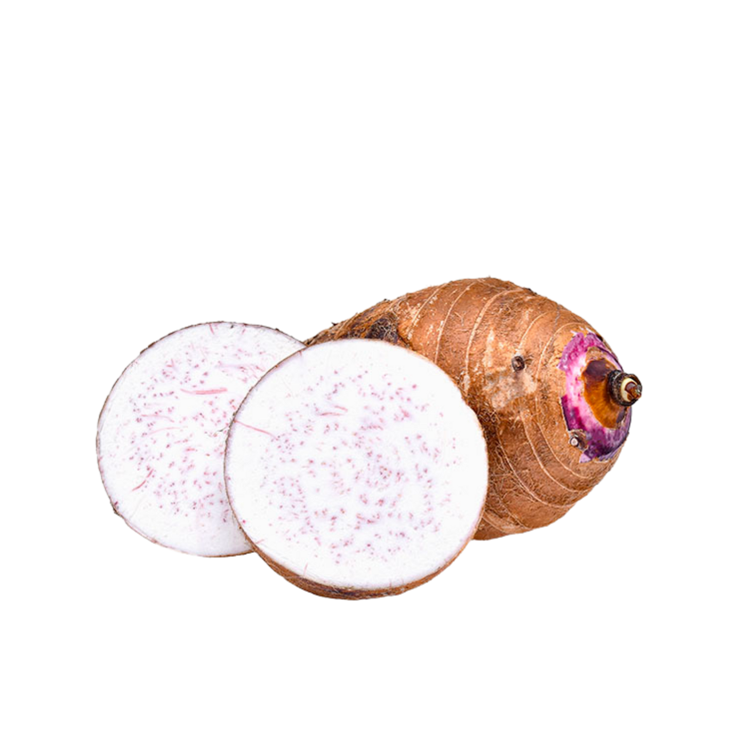 MALANGA COCO