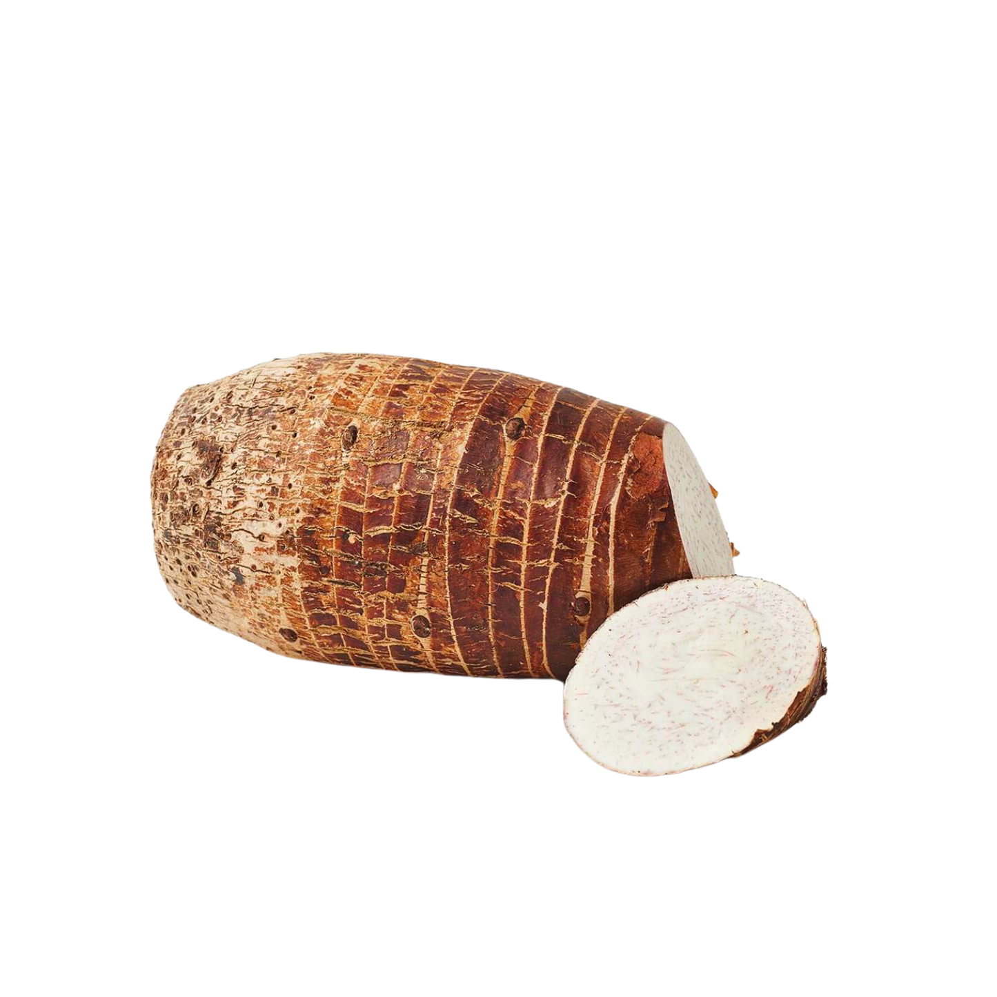 MALANGA COCO