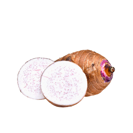 MALANGA COCO