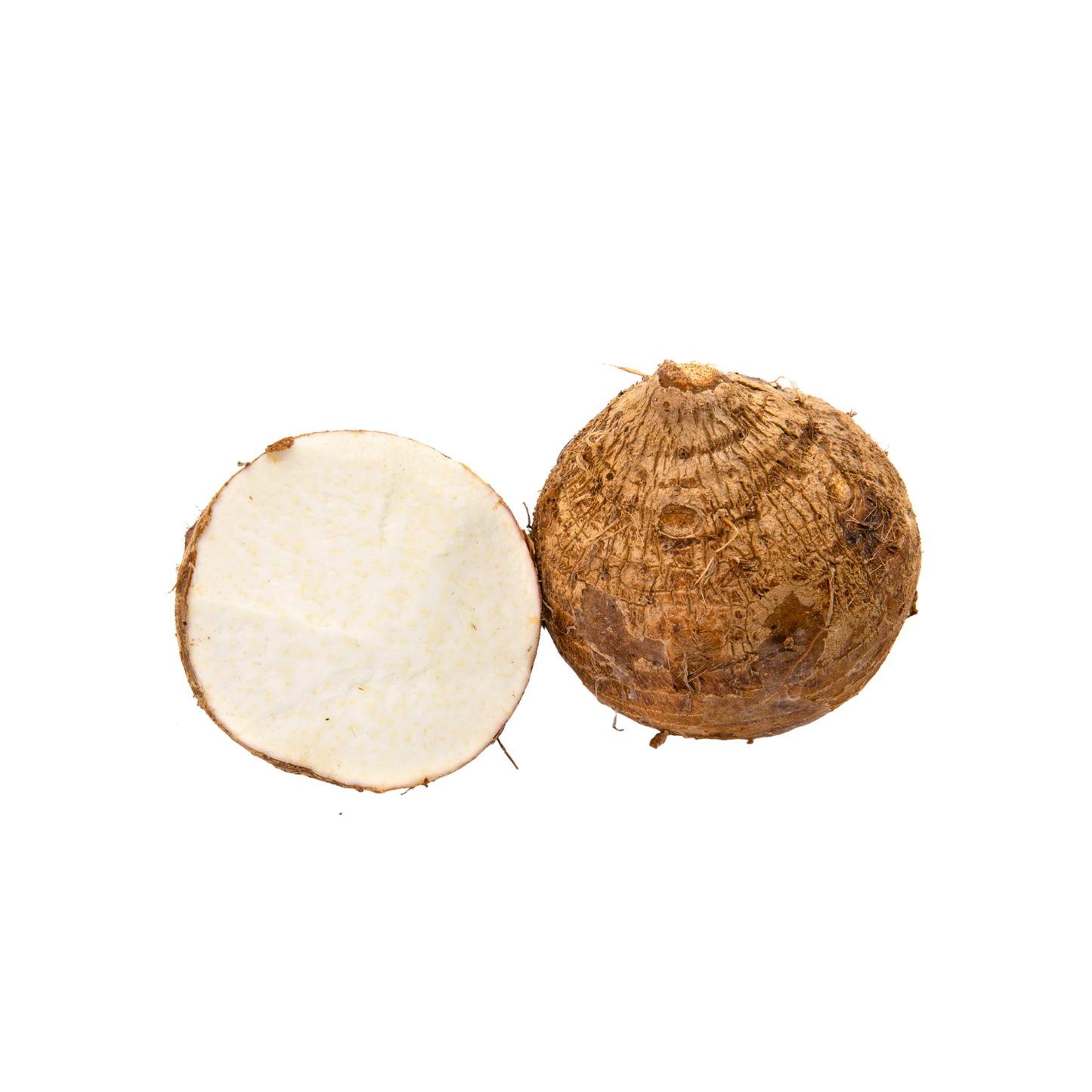 MALANGA ISLENA