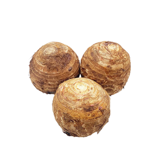 MALANGA ISLENA