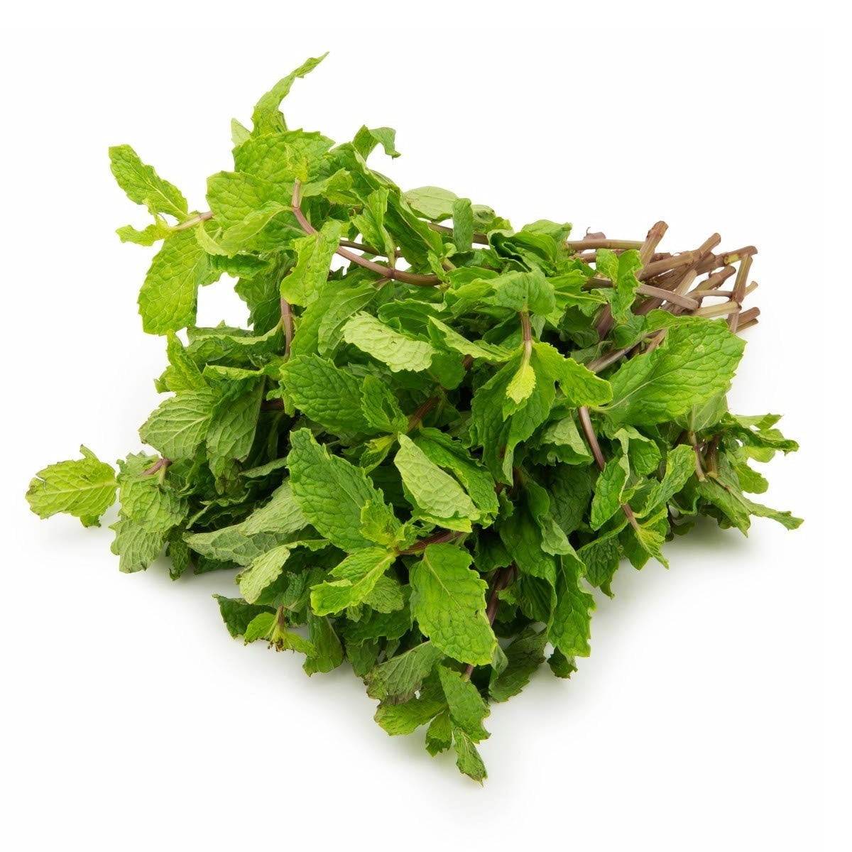 MINT