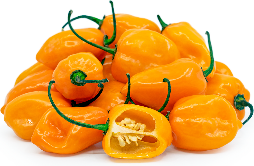 PEPPER HABANERO ORANGE