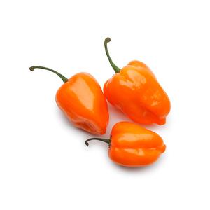 PEPPER HABANERO ORANGE