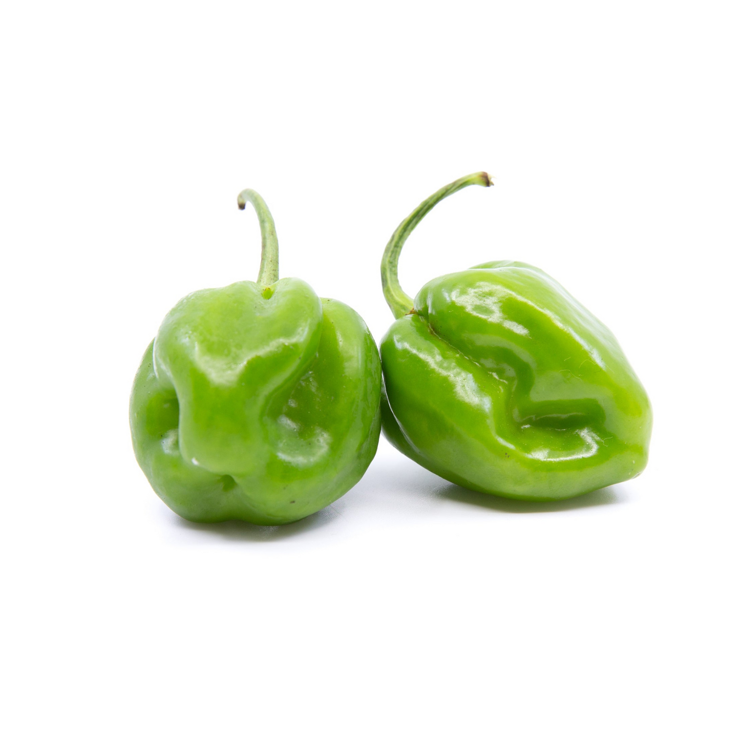 PEPPER HABANERO GREEN