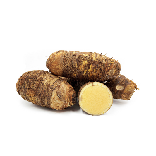 MALANGA YELLOW