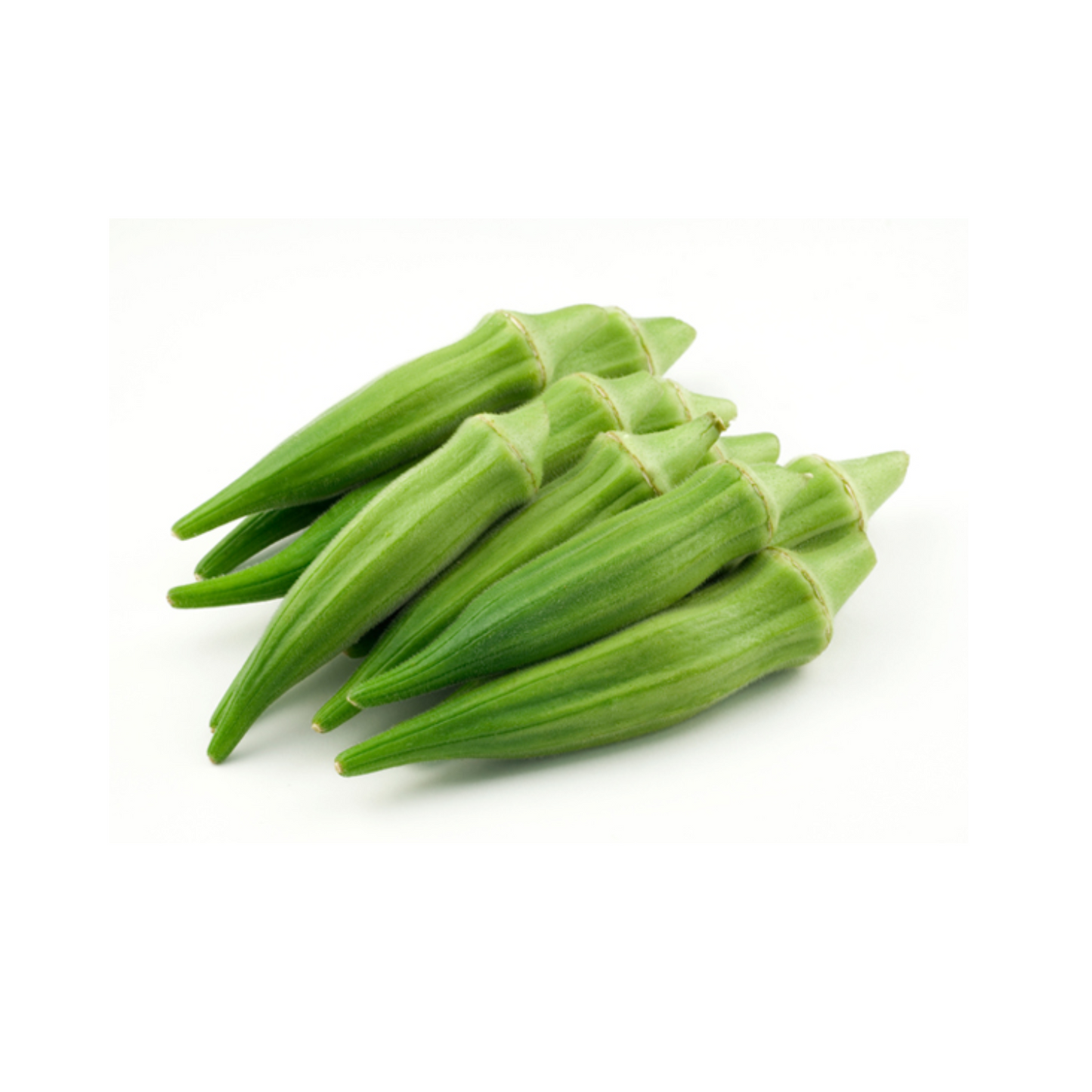 AMERICAN OKRA