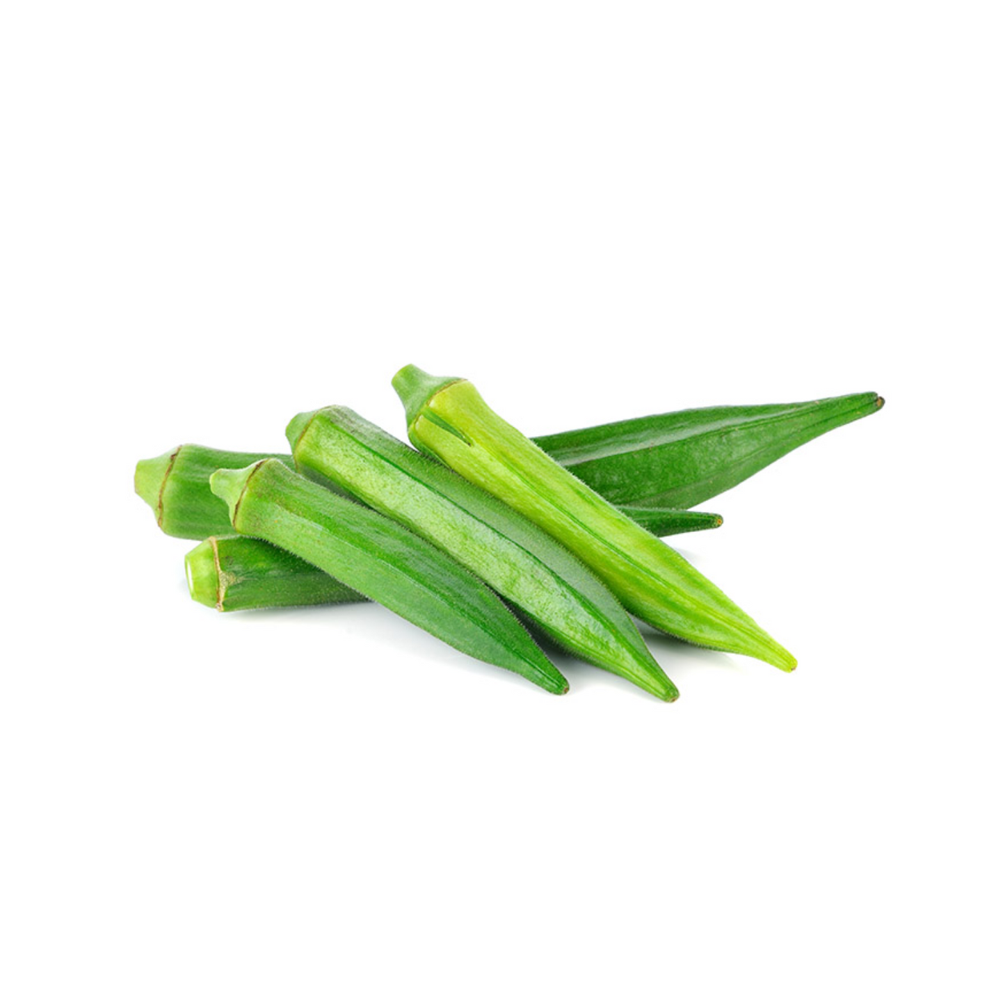 INDIAN OKRA