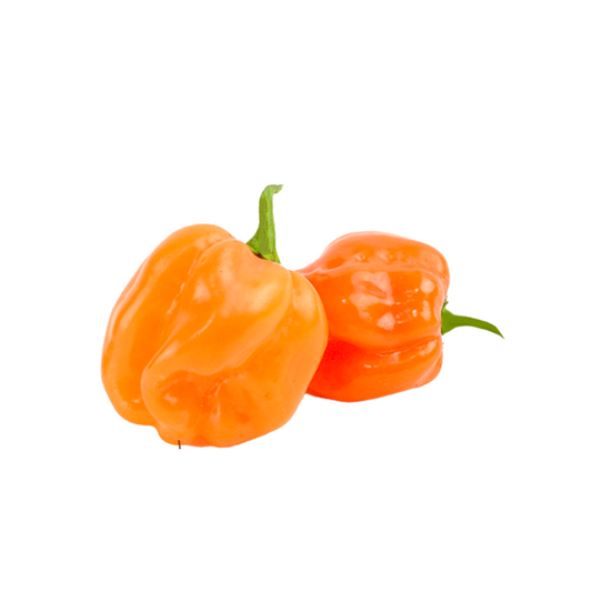 PEPPER HABANERO ORANGE