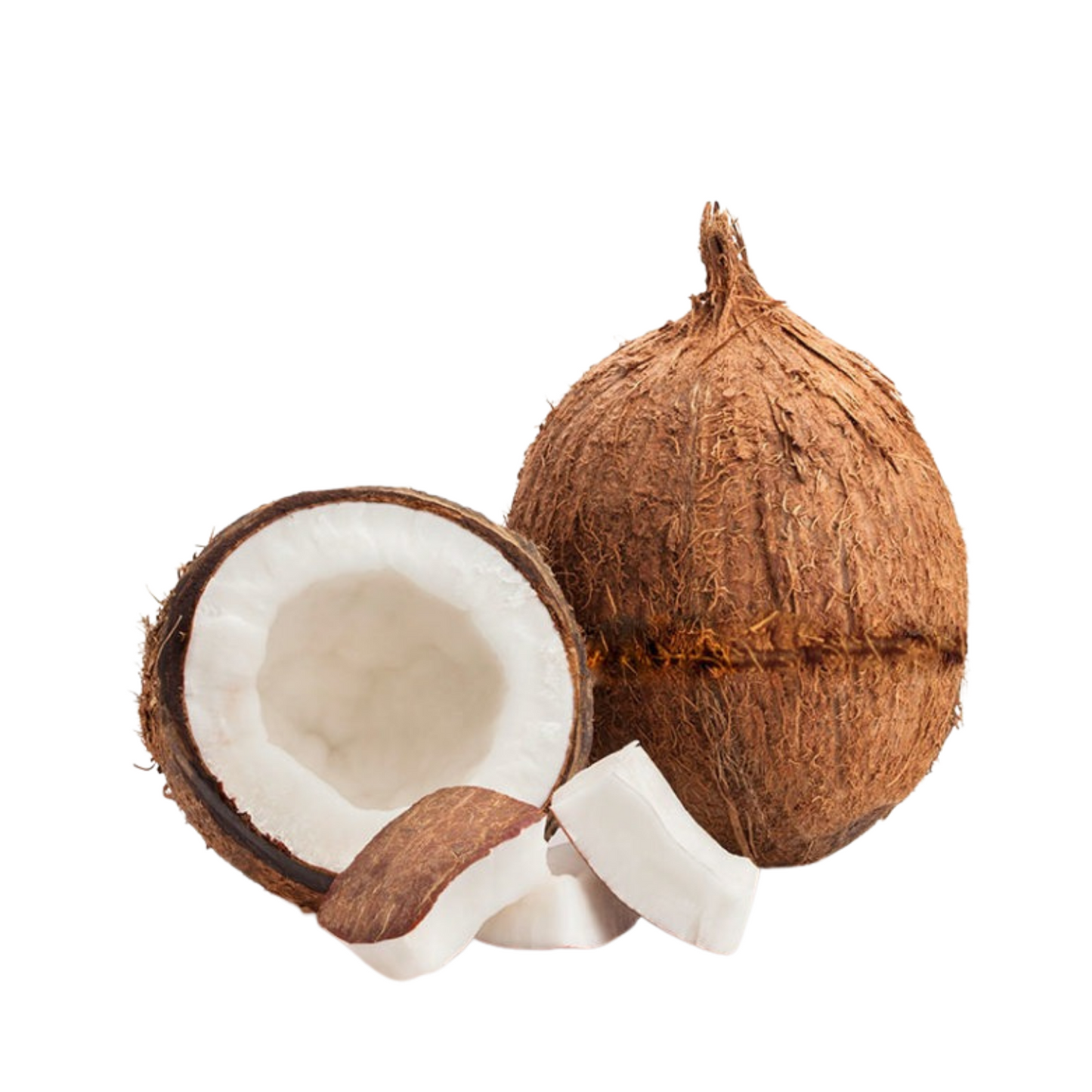 COCONUT GROOVY