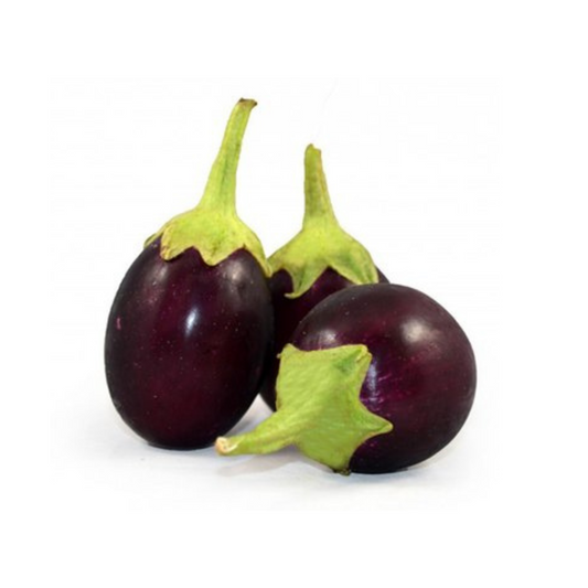 INDIAN EGGPLANT
