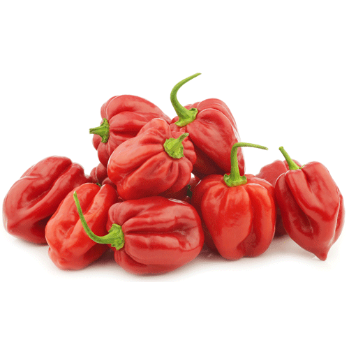 PEPPER HABANERO RED