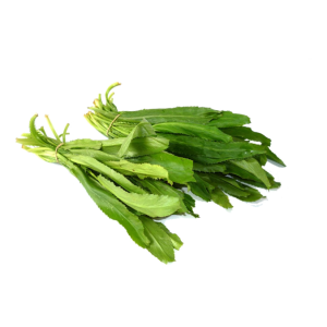 RECAU/ CULANTRO