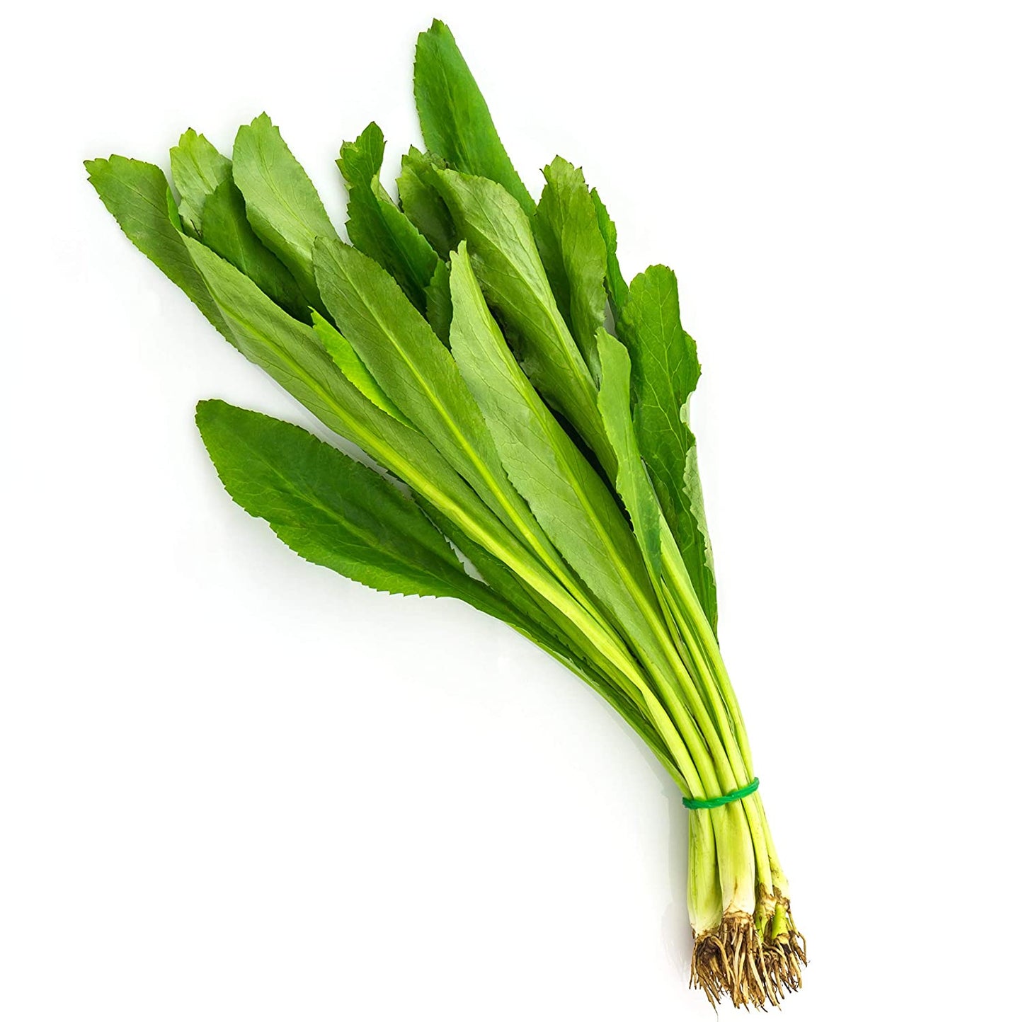 RECAU/ CULANTRO