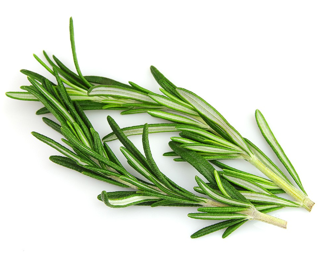 ROSEMARY