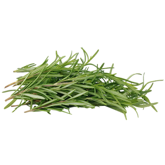 ROSEMARY