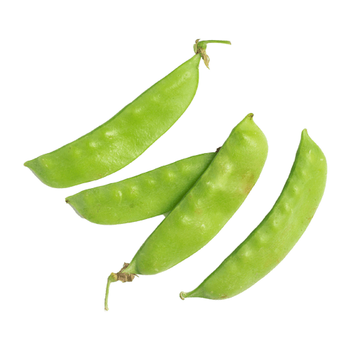 SNOW PEAS
