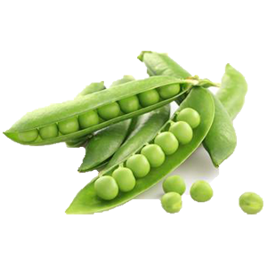 SUGAR SNAPS PEAS