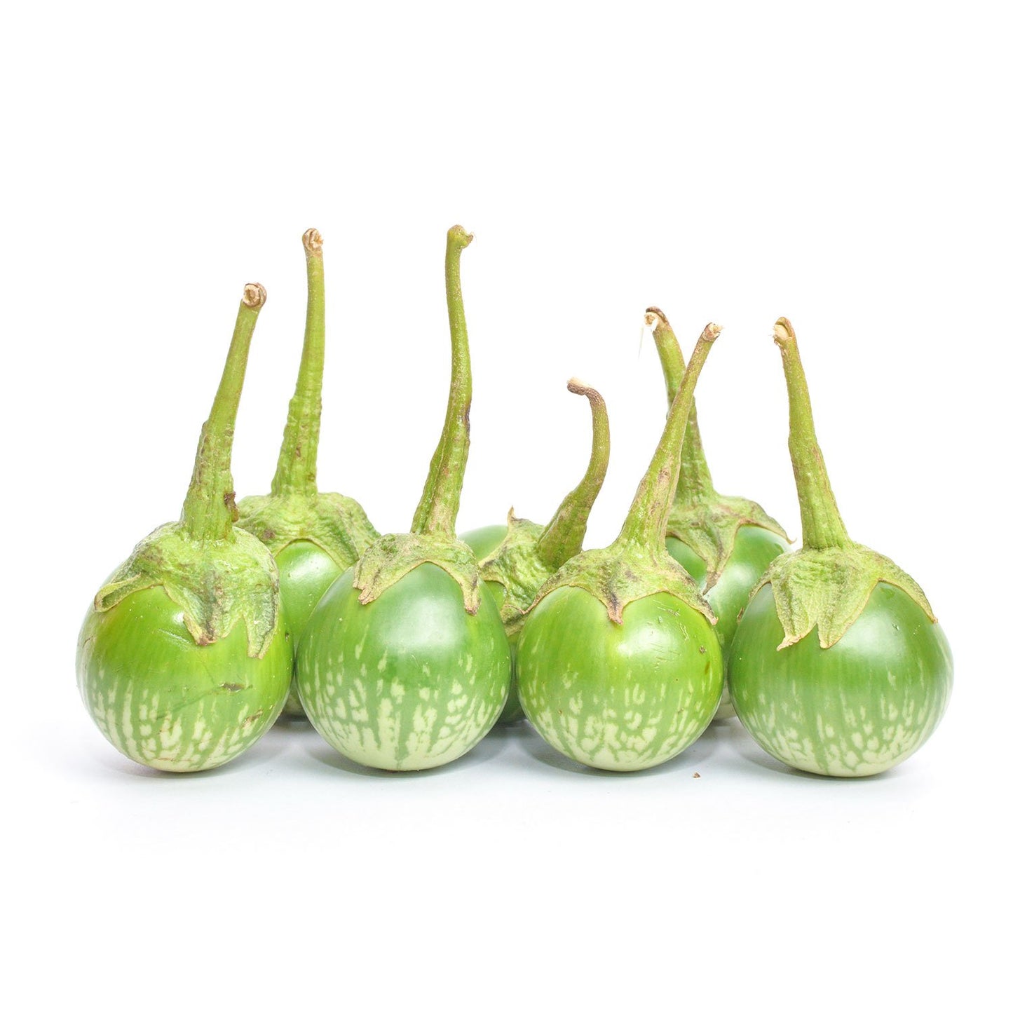 THAI EGGPLANT