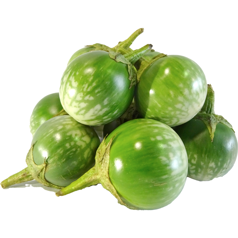 THAI EGGPLANT
