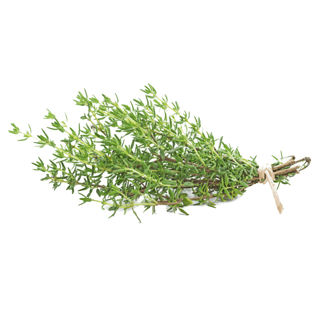 THYME