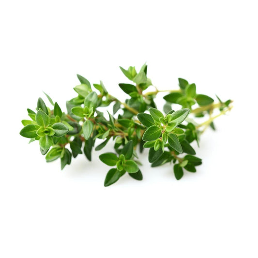 THYME