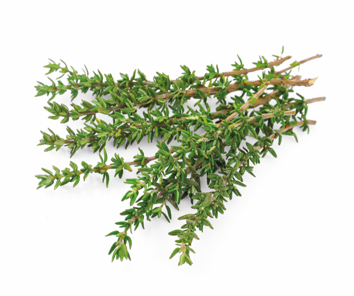 THYME